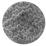 Partículas do Polimetilmetacrilato (PMMA) 